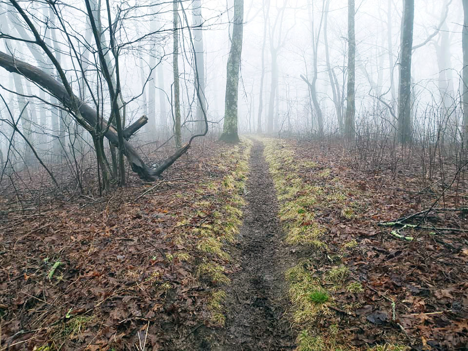 the road.jpg
